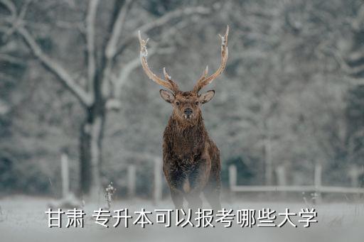 甘肅 專升本可以報(bào)考哪些大學(xué)