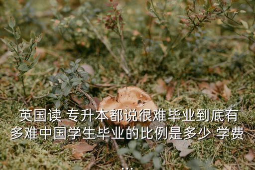  英國讀 專升本都說很難畢業(yè)到底有多難中國學(xué)生畢業(yè)的比例是多少 學(xué)費...