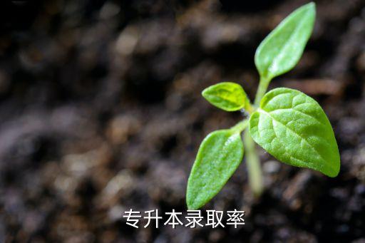 普通專科專升本率,高等教育考生可在就讀?？仆瑫r申請本科