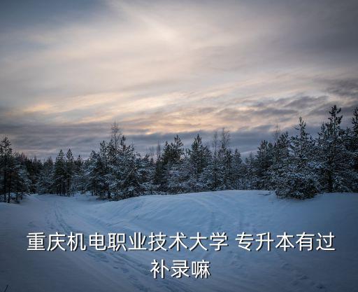  重慶機(jī)電職業(yè)技術(shù)大學(xué) 專升本有過 補(bǔ)錄嘛