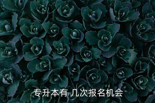  專升本有 幾次報(bào)名機(jī)會(huì)