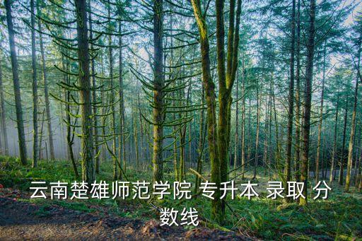 云南楚雄師范學院 專升本 錄取 分數(shù)線