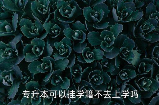  專升本可以掛學(xué)籍不去上學(xué)嗎