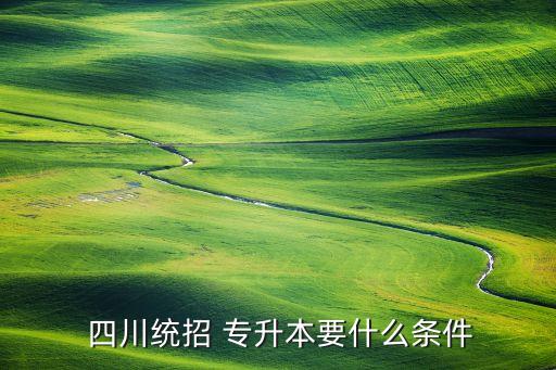 四川專升本政策,四川省實(shí)施士兵計(jì)劃專升本政策為軍隊(duì)更好轉(zhuǎn)型