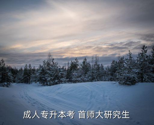 成人專升本考 首師大研究生