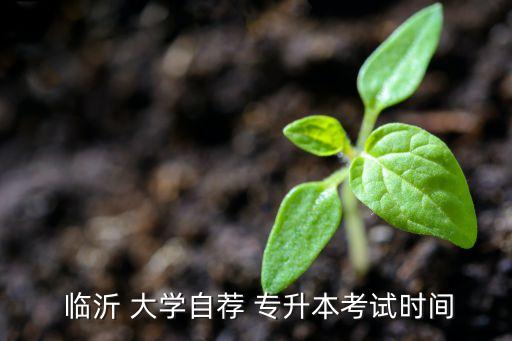 臨沂大學專升本計算機,臨沂-3/職業(yè)與技術?？粕厴I(yè)典禮