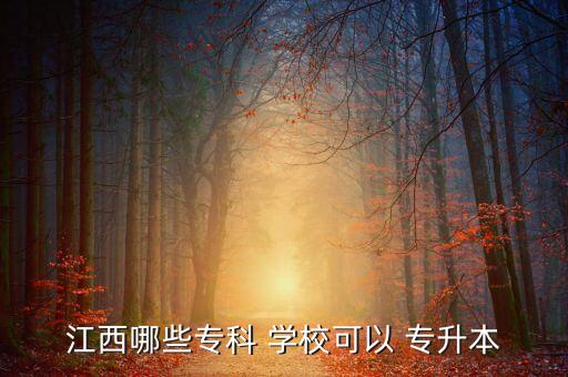 江西哪些?？?學(xué)?？梢?專升本