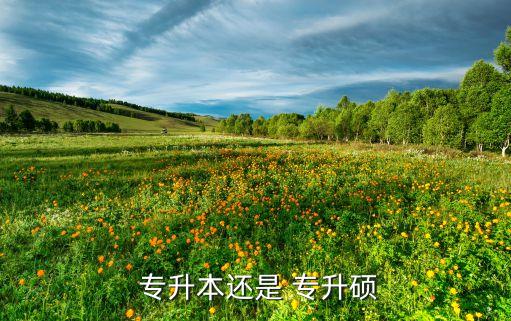  專升本還是 專升碩