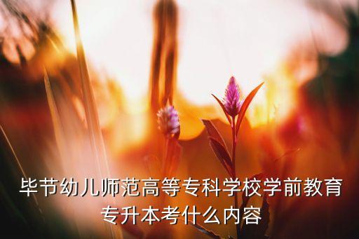  畢節(jié)幼兒師范高等?？茖W校學前教育 專升本考什么內(nèi)容