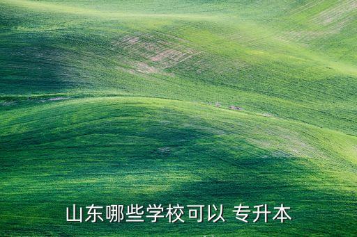 山東哪些學(xué)?？梢?專升本