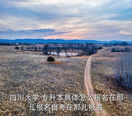 四川專升本網(wǎng)址,重慶專升本網(wǎng)上報(bào)名和院校確認(rèn)考試