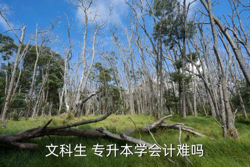 專升本的會(huì)計(jì)學(xué)難嗎,會(huì)計(jì)專升本有哪些選擇?