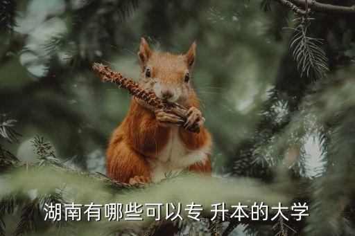湖南有哪些可以專 升本的大學