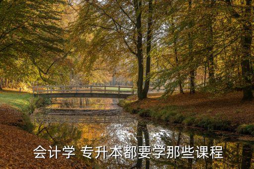  會計學(xué) 專升本都要學(xué)那些課程