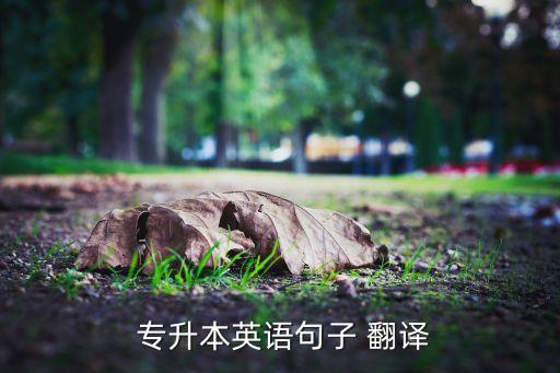  專升本英語(yǔ)句子 翻譯