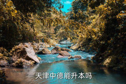  天津中德能升本嗎