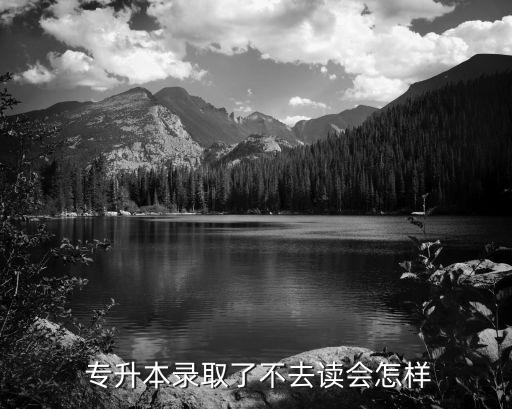 山東專升本招不起人來學校會怎樣,選擇什么樣的大學和專業(yè)?