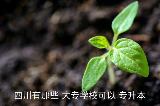 四川有那些 大專學(xué)?？梢?專升本