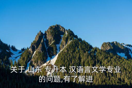 關(guān)于 山東 專升本 漢語(yǔ)言文學(xué)專業(yè)的問(wèn)題,有了解進(jìn)