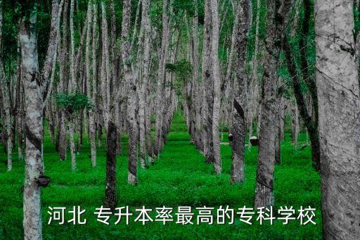 河北 專升本率最高的?？茖W(xué)校