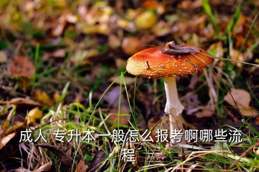 昆明成人高考專升本報名,成人高考成績查詢可通過三種方式查詢