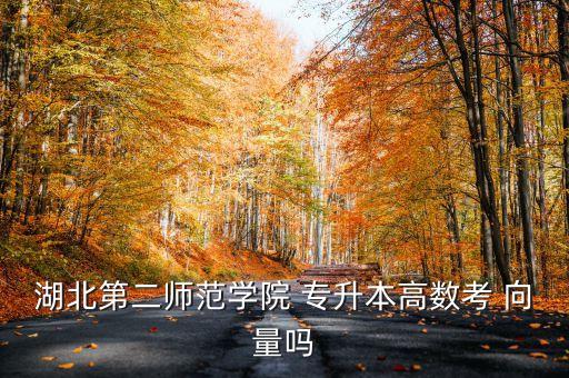 專升本向量,湖北第二師范專升本考試科目有哪些?