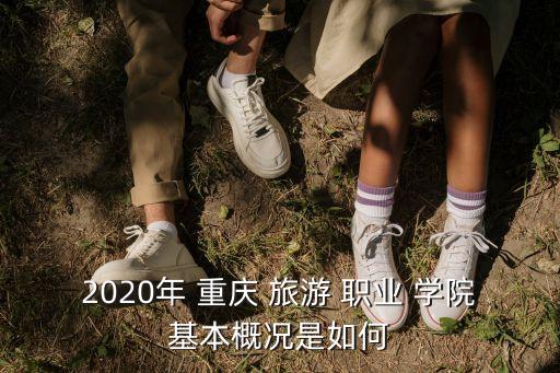 重慶旅游職業(yè)學院專升本,重慶旅游職業(yè)學院預計明年會擴招