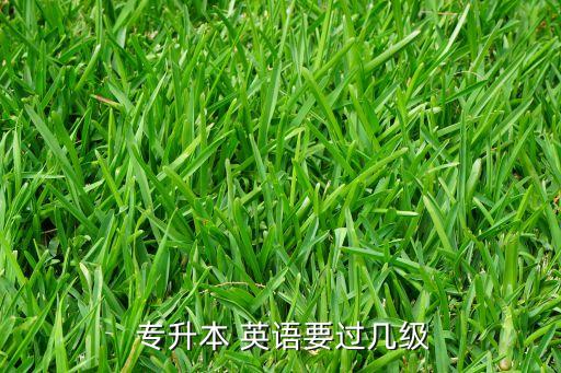  專升本 英語要過幾級