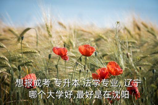 遼寧專升本 法學,選擇?？茖W府還是本科?