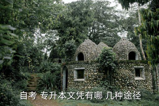  自考 專(zhuān)升本文憑有哪 幾種途徑