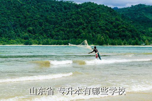 山東省專升本.一,山東省44所高校127個?？茖Ｉ菊猩? /></a><a href=