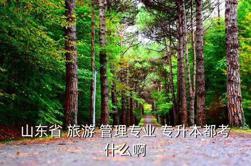 旅游管理的專升本,旅游管理專升本可報(bào)考本科和?？普n程
