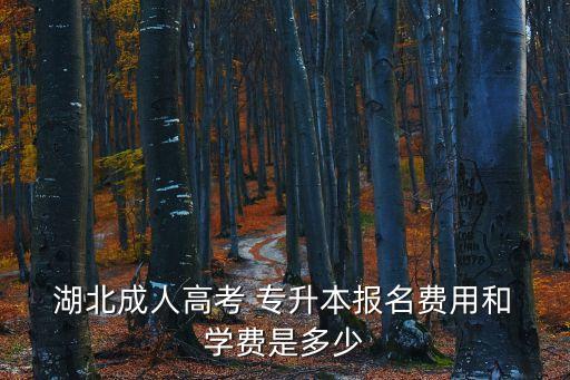  湖北成人高考 專升本報名費用和 學費是多少