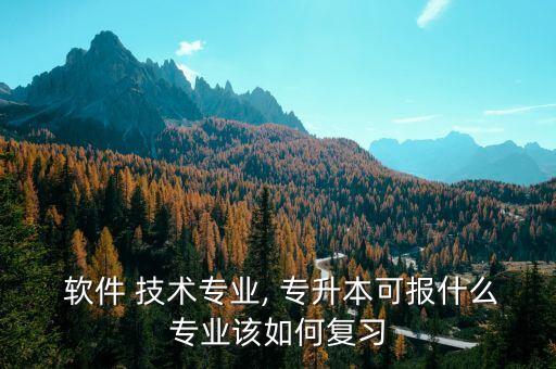  軟件 技術(shù)專業(yè), 專升本可報(bào)什么專業(yè)該如何復(fù)習(xí)