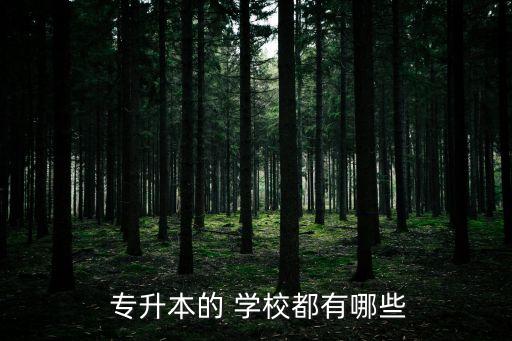 全國(guó)可以專升本的學(xué)校有哪些學(xué)校,專升本學(xué)校有很多但選擇很少