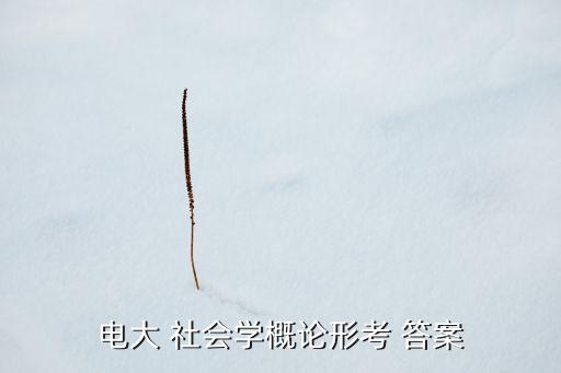專升本社會學考試答案,報考專升本須具備國民教育系列大學學歷