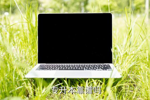 上海麗塔專升本靠譜嗎,專升本有三種選擇方式
