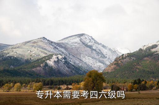  專升本需要考四六級嗎