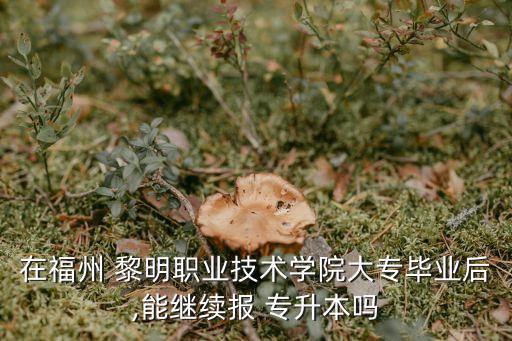 在福州 黎明職業(yè)技術(shù)學(xué)院大專畢業(yè)后,能繼續(xù)報 專升本嗎