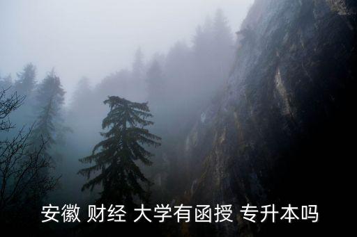  安徽 財經(jīng) 大學(xué)有函授 專升本嗎