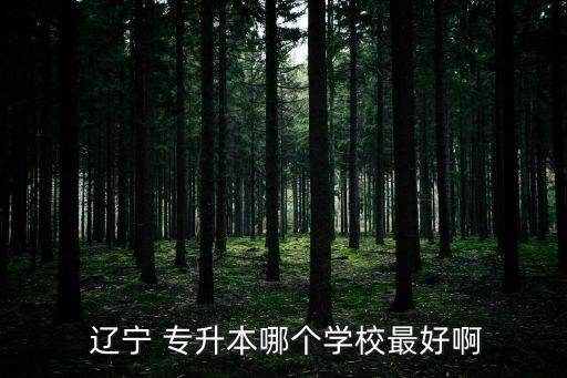  遼寧 專(zhuān)升本哪個(gè)學(xué)校最好啊