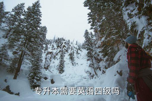  專升本需要英語四級嗎