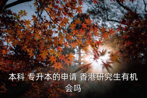 本科 專升本的申請 香港研究生有機會嗎