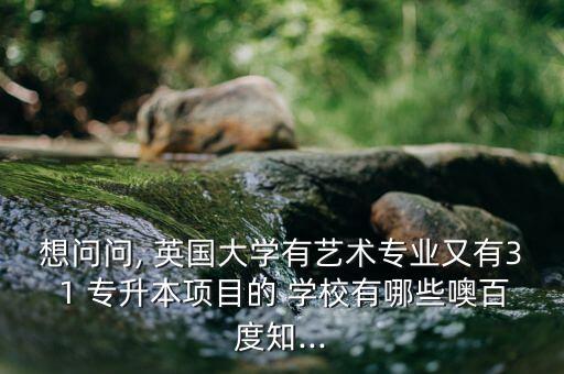 想問問, 英國大學有藝術專業(yè)又有3 1 專升本項目的 學校有哪些噢百度知...