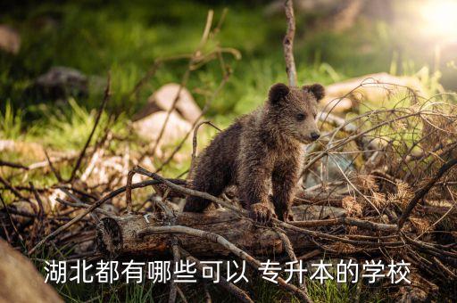 武漢鐵路學(xué)院招專升本嗎,湖北ok專升本有很多學(xué)校報名