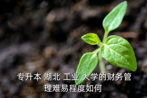 湖北工業(yè)大學專升本,選擇自己擅長的領(lǐng)域和方向