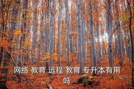 網(wǎng)絡(luò) 教育 遠(yuǎn)程 教育 專升本有用嗎