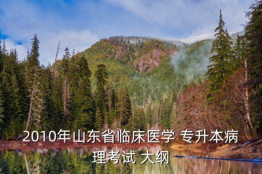 2010年山東省臨床醫(yī)學 專升本病理考試 大綱