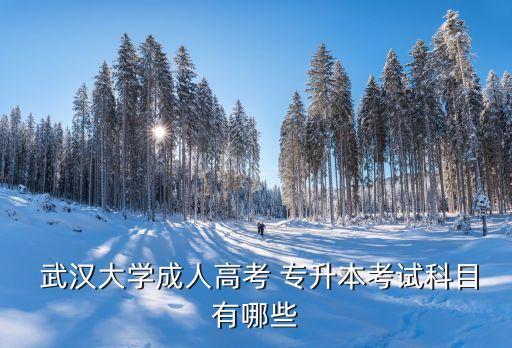  武漢大學(xué)成人高考 專升本考試科目有哪些