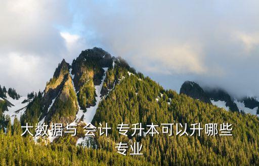 大數(shù)據(jù)與 會計 專升本可以升哪些 專業(yè)